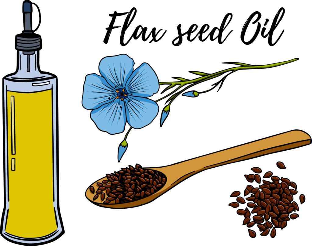flaxseed oil and seeds